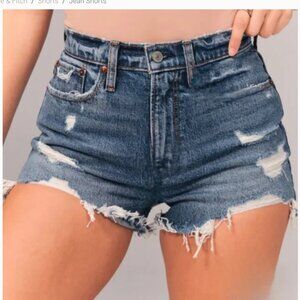 Abercrombie & Fitch The Mom Short High Rise Size 4 (27" Waist) Festival‎ Summer